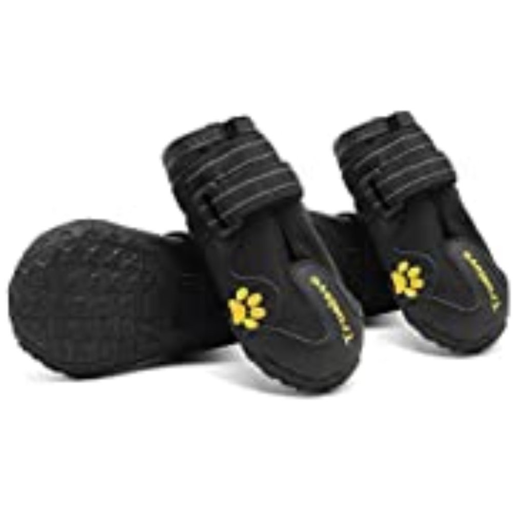 dog shoes